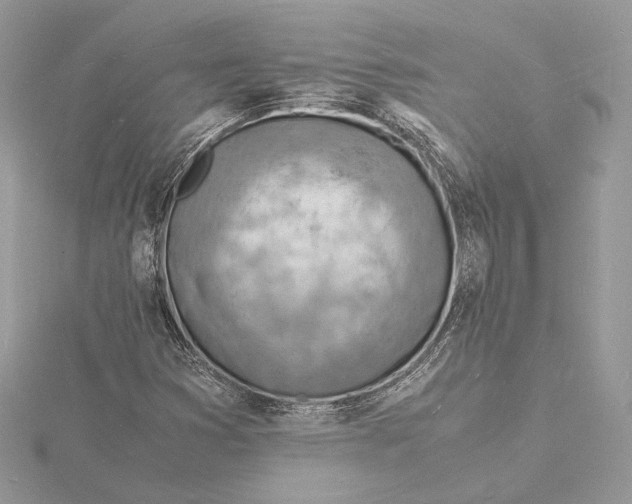 X0000115841353200912041700