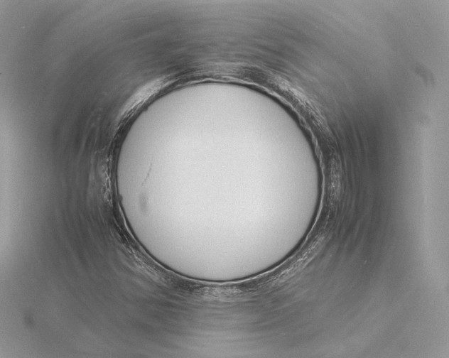 X0000115841354200912041700