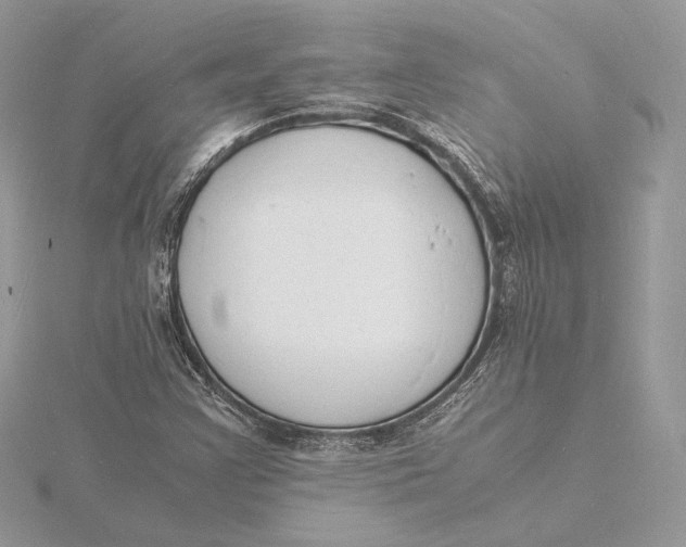 X0000115841355200912041700