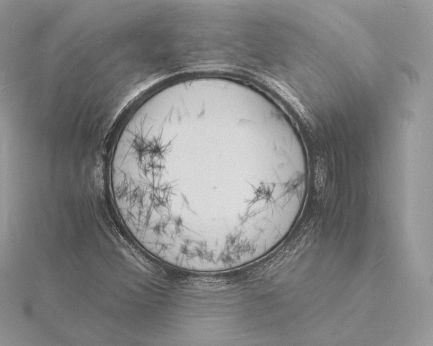 X0000115841356200912041700