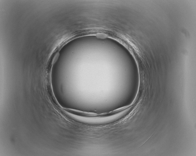 X0000115841357200912041700