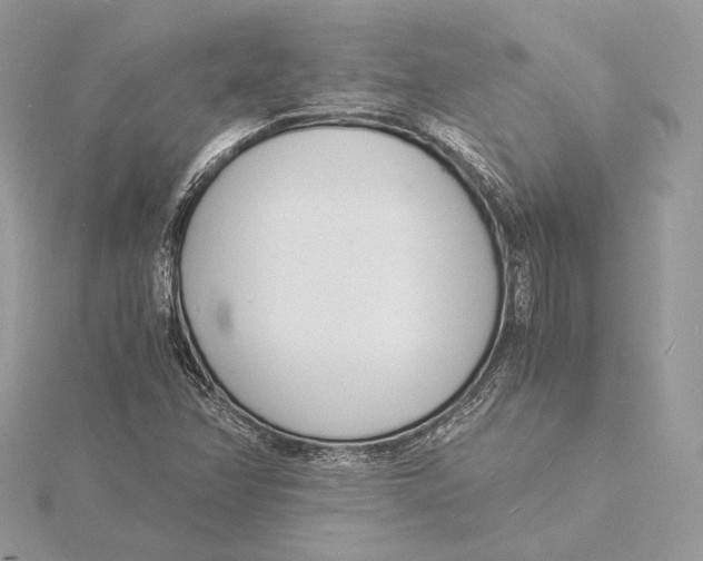 X0000115841358200912041659