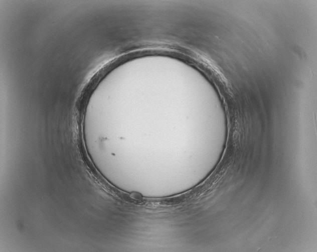 X0000115841360200912041659