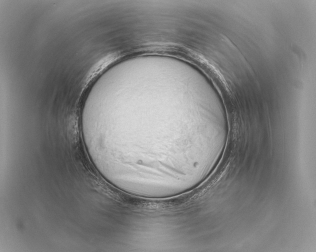 X0000115841362200912041659