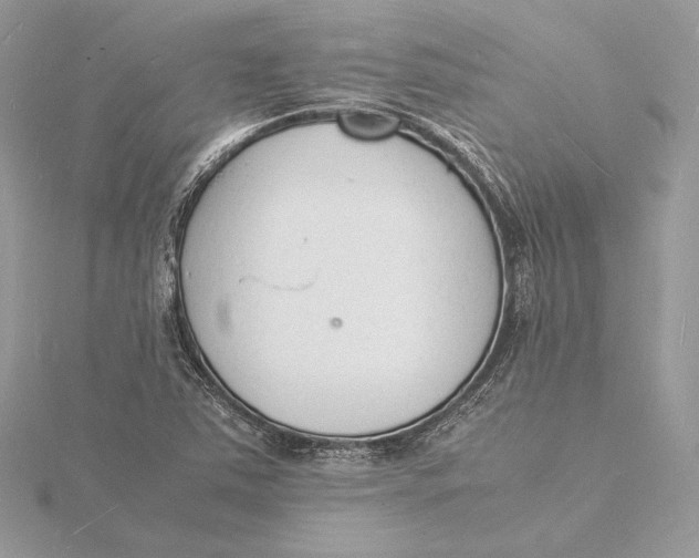 X0000115841363200912041659