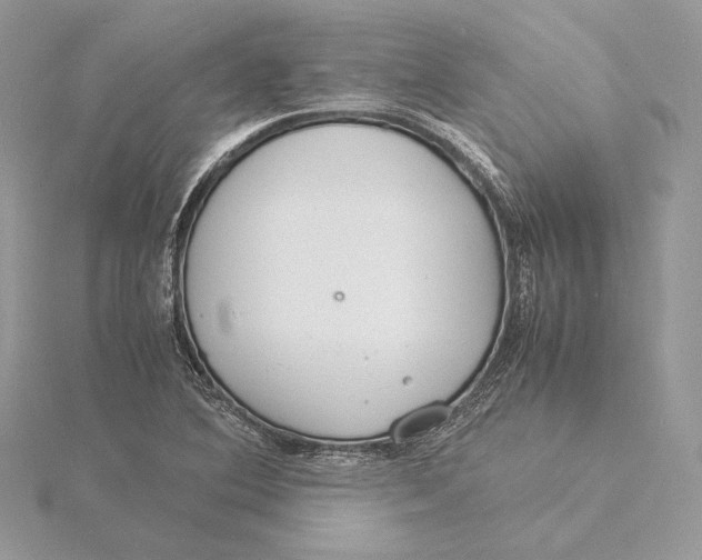 X0000115841364200912041659