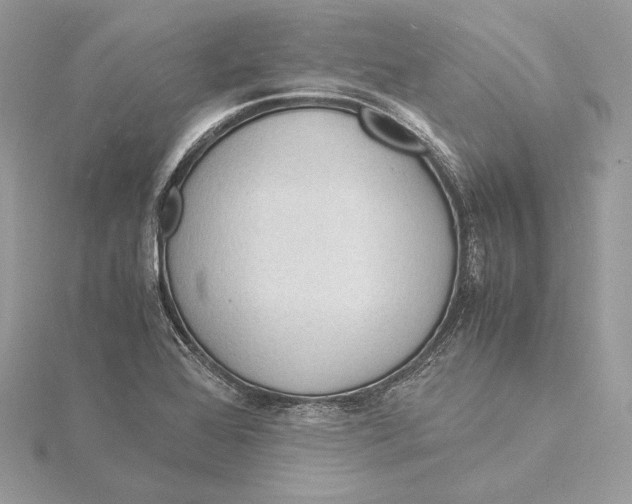 X0000115841368200912041659