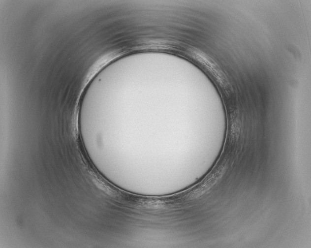 X0000115841370200912041659