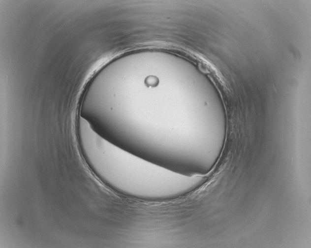 X0000115841373200912041659