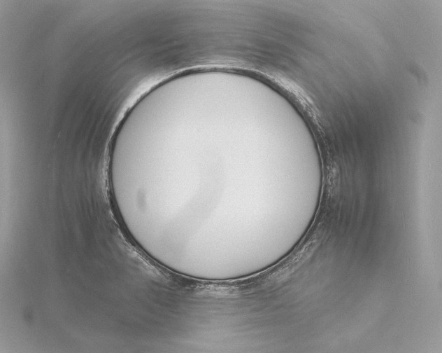 X0000115841374200912041659