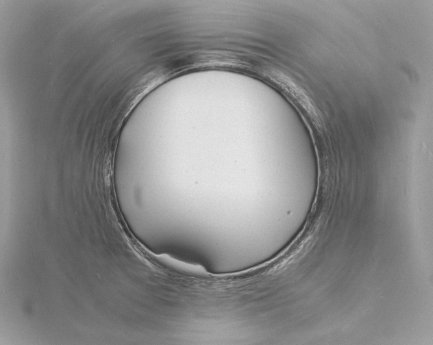 X0000115841377200912041659