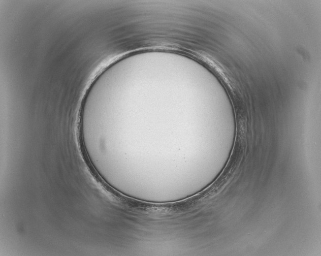 X0000115841379200912041659