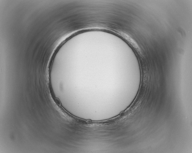 X0000115841380200912041659