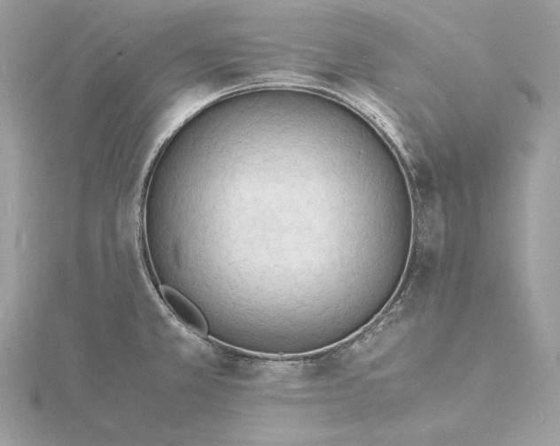 X0000115841381200912041659