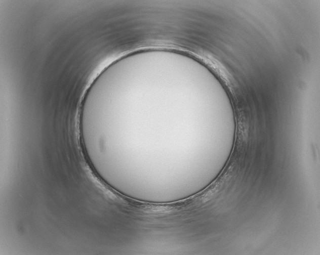 X0000115841382200912041659