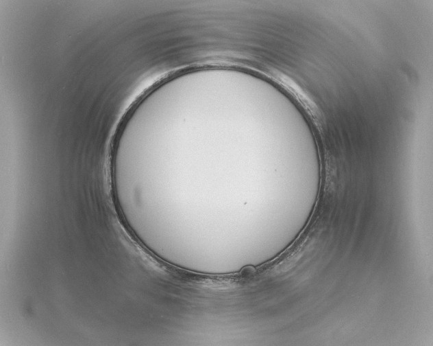 X0000115841384200912041659