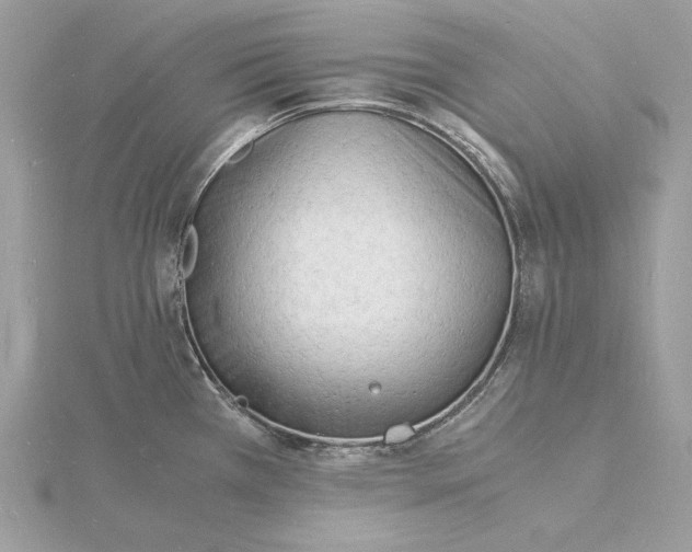 X0000115841385200912041659