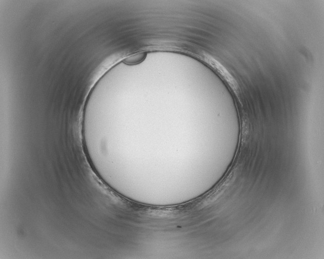 X0000115841386200912041659