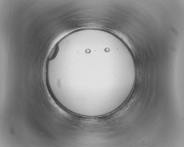 X0000115841387200912041659