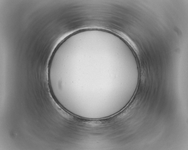 X0000115841388200912041659