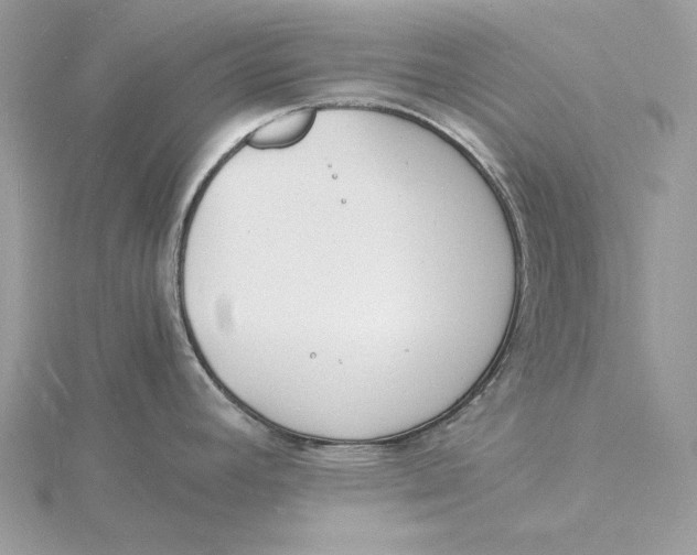 X0000115841392200912041659