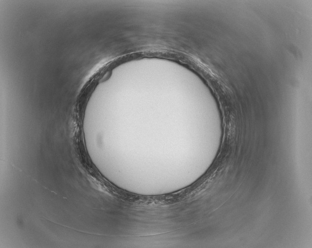 X0000115841400200912041659