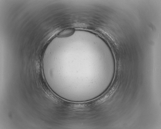 X0000115841401200912041659