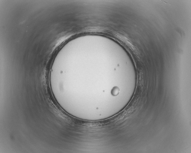 X0000115841404200912041659