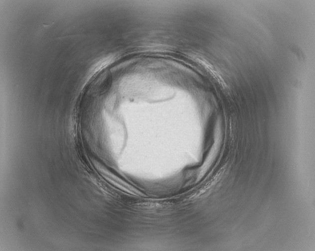 X0000115841405200912041659