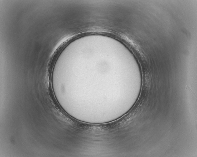 X0000115841408200912041659