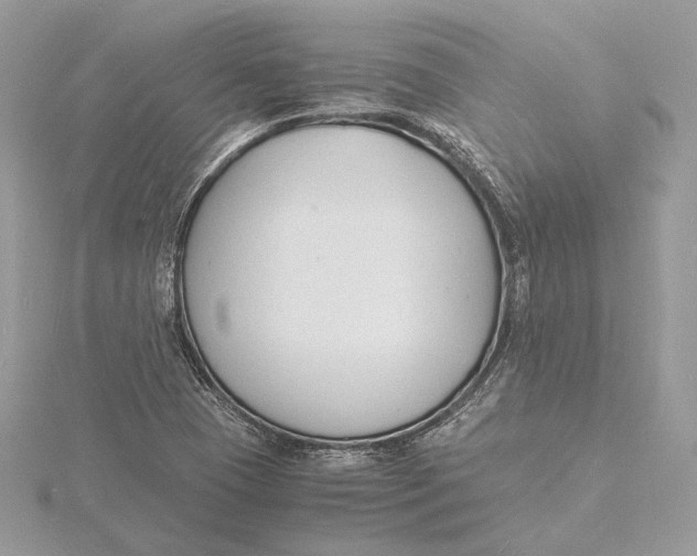 X0000115841409200912041659