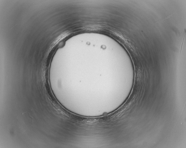 X0000115841410200912041659