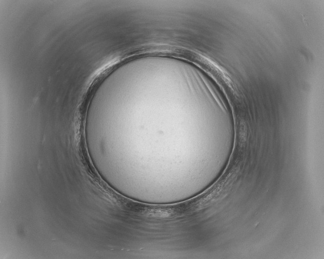 X0000115841411200912041659