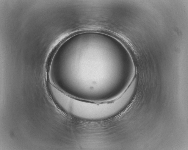 X0000115841414200912041659