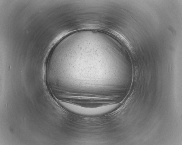 X0000115841419200912041659