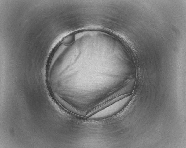 X0000115841422200912041659