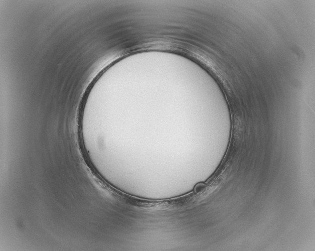 X0000115841426200912041659