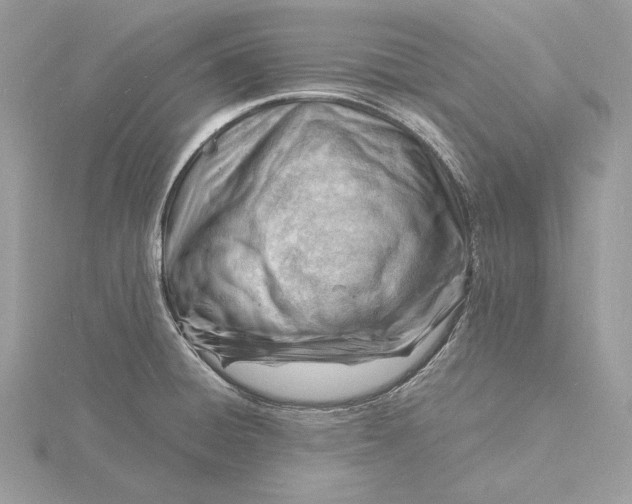 X0000115841428200912041659