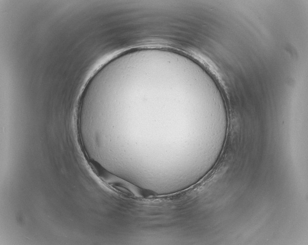 X0000115841429200912041659