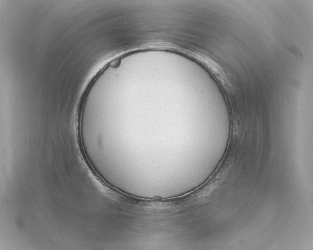 X0000115841430200912041659