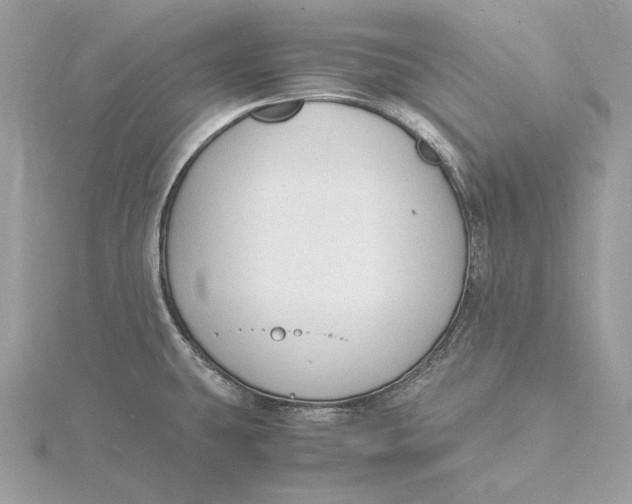 X0000115841431200912041659