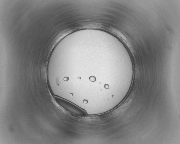 X0000115841433200912041659