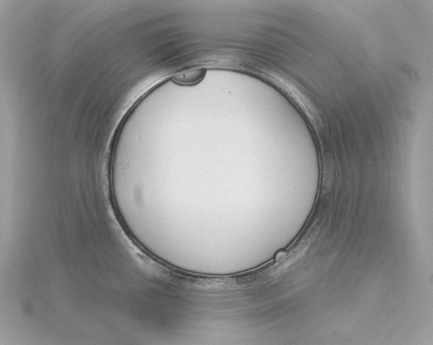 X0000115841434200912041659