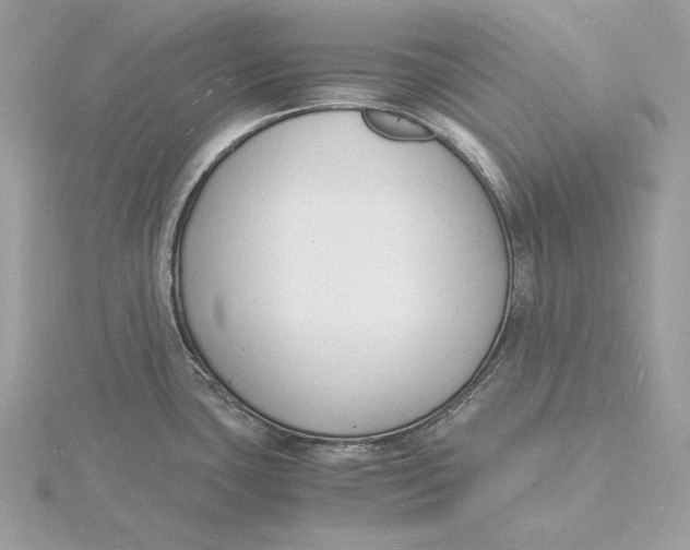 X0000115841435200912041659