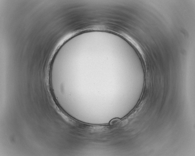 X0000115841437200912041659