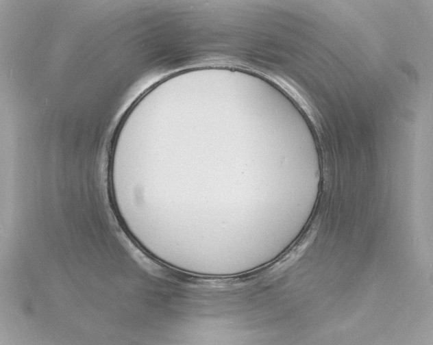 X0000115841438200912041659