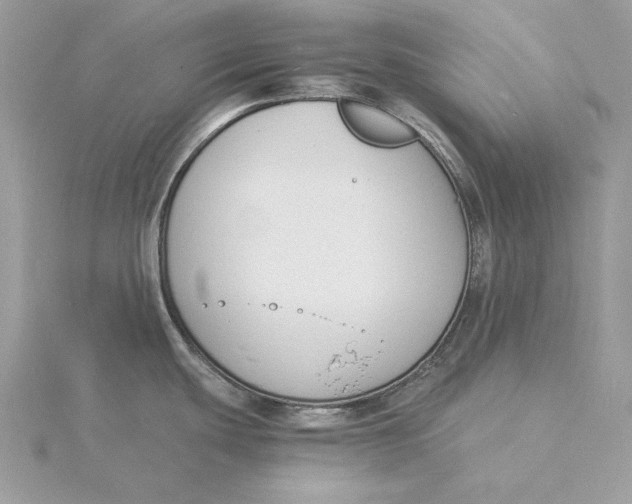 X0000115841439200912041659