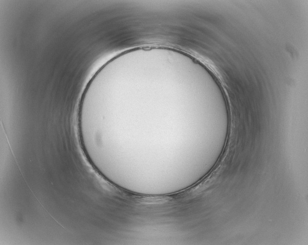 X0000115841440200912041659