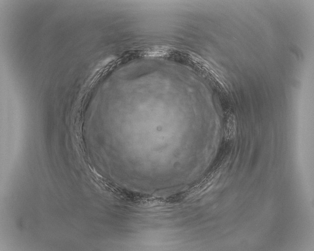 X0000115841441200912041658