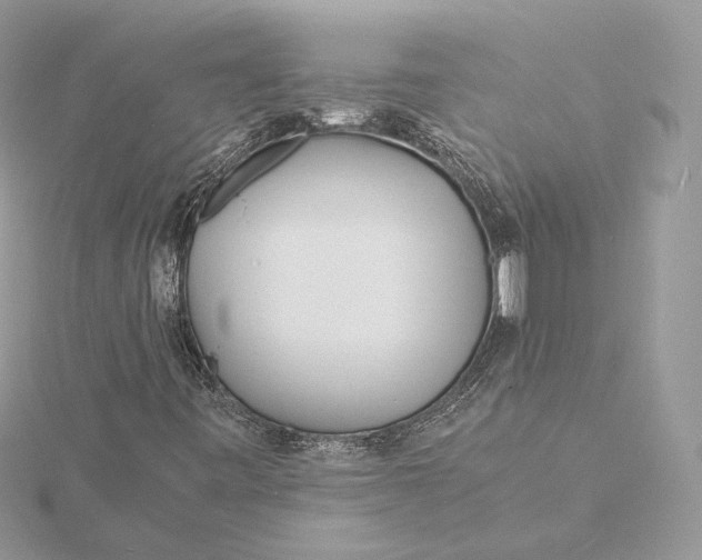 X0000115841443200912041658